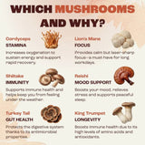 RŸZE Mushroom Coffee with 6 Adaptogenic Mushrooms