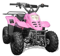 Hawk 110CC ATV