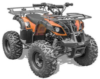 Bull 125-RX8 (Auto,Reverse) ATV